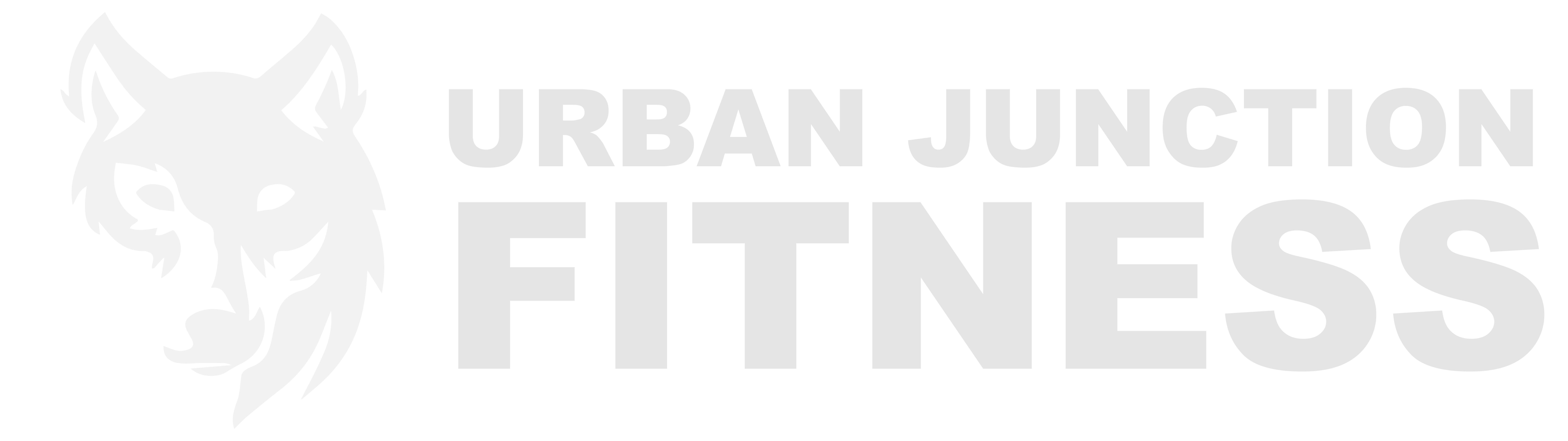 Urban Junction Fitness
